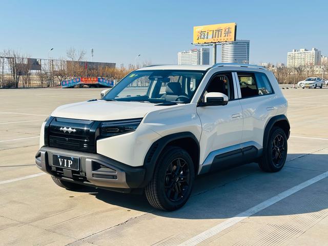 TAI 3 2025 модификация 501KM Rear Drive Pro Edition