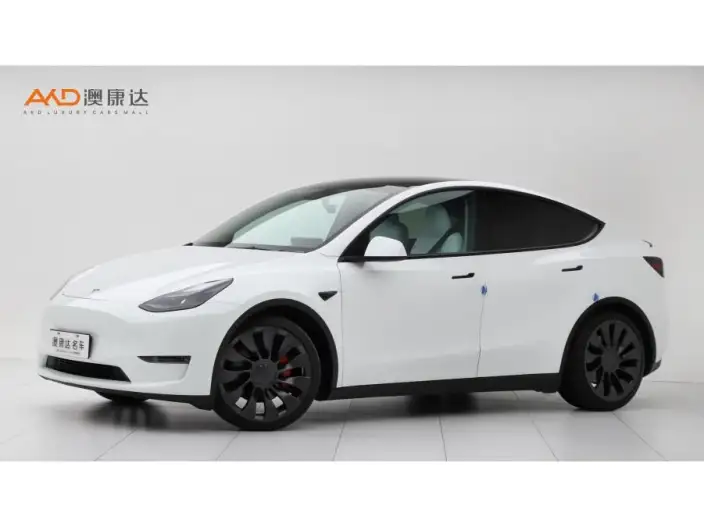 Model Y 2022 Model Performance High performance All-wheel drive version – фото 1