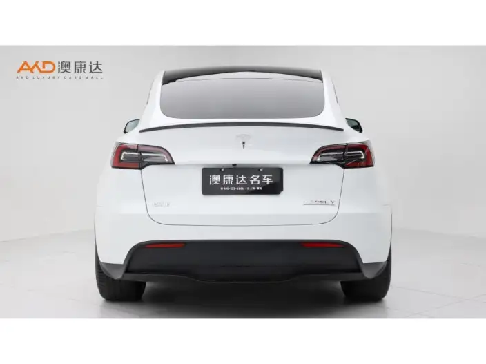 Model Y 2022 Model Performance High performance All-wheel drive version – фото 3