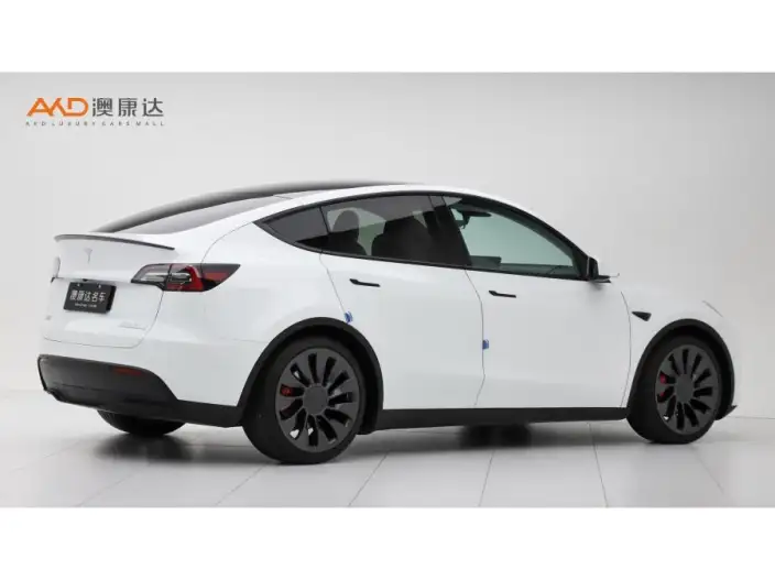 Model Y 2022 Model Performance High performance All-wheel drive version – фото 4