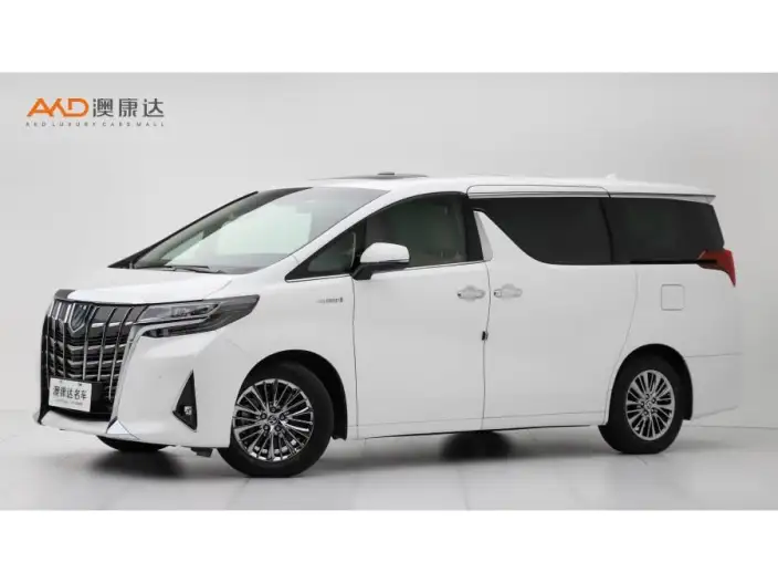 Elfa 2020 Model Hybrid 2.5L Premium Edition – фото 1