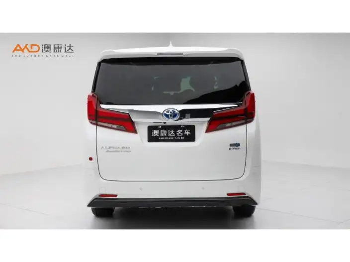 Elfa 2020 Model Hybrid 2.5L Premium Edition – фото 3