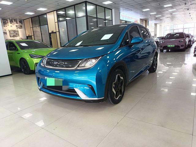 BYD Dolphin 2021 Fashion – фото 1