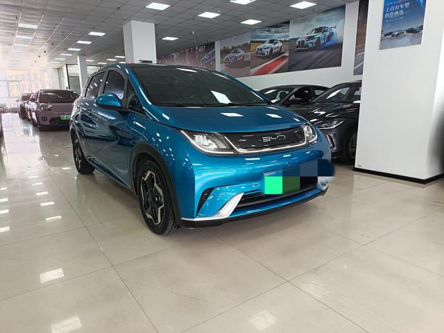 BYD Dolphin 2021 Fashion – фото 3