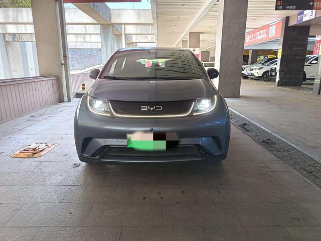BYD Dolphin 2024 Glory Edition 420km Freedom – фото 2