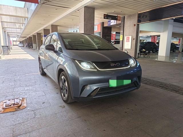 BYD Dolphin 2024 Glory Edition 420km Freedom – фото 3