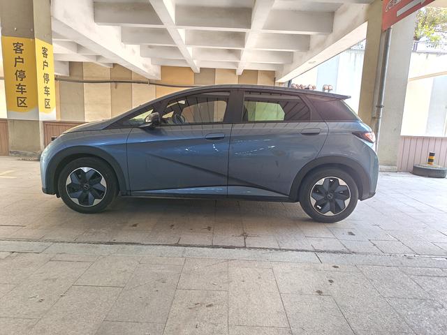 BYD Dolphin 2024 Glory Edition 420km Freedom – фото 4