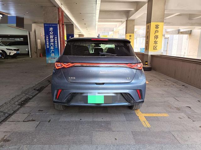 BYD Dolphin 2024 Glory Edition 420km Freedom – фото 6