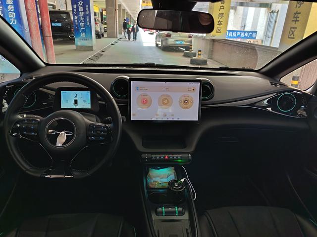 BYD Dolphin 2024 Glory Edition 420km Freedom – фото 13