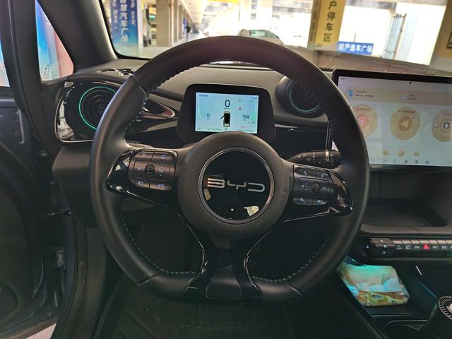 BYD Dolphin 2024 Glory Edition 420km Freedom – фото 14