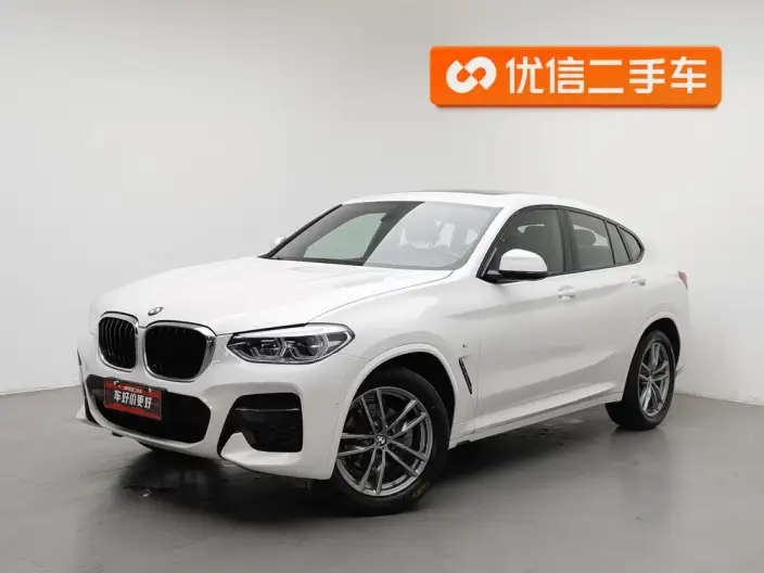 BMW X4 2020 Model xDrive25i M Sports Set – фото 1