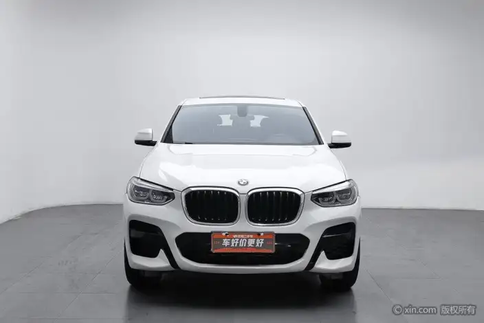 BMW X4 2020 Model xDrive25i M Sports Set – фото 2