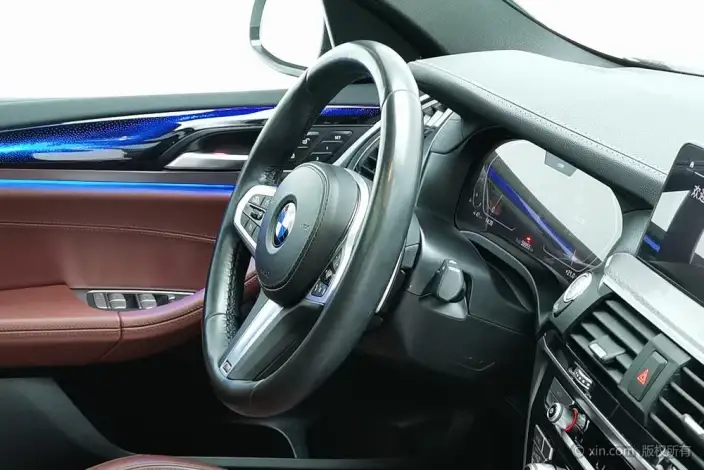 BMW X4 2020 Model xDrive25i M Sports Set – фото 9