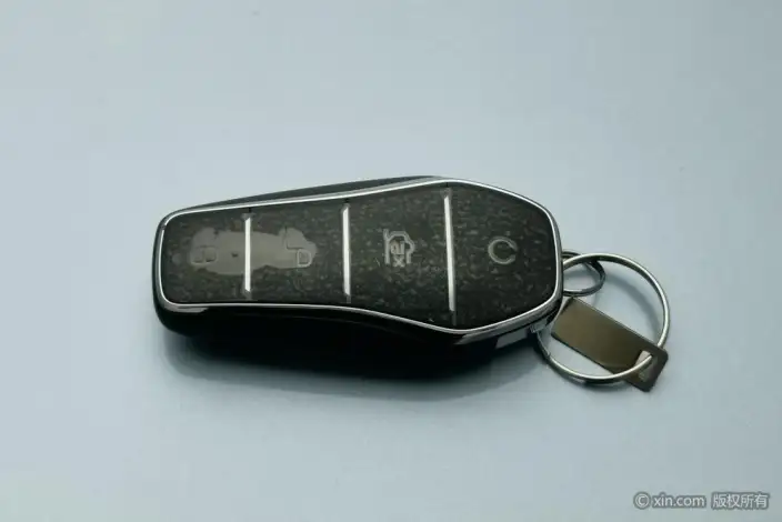 BYD Tang DM 2023 Model DM-i Champion Edition 112KM Exclusive Model – фото 6