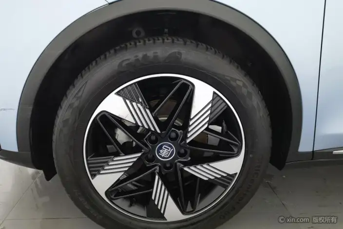 BYD Tang DM 2023 Model DM-i Champion Edition 112KM Exclusive Model – фото 8