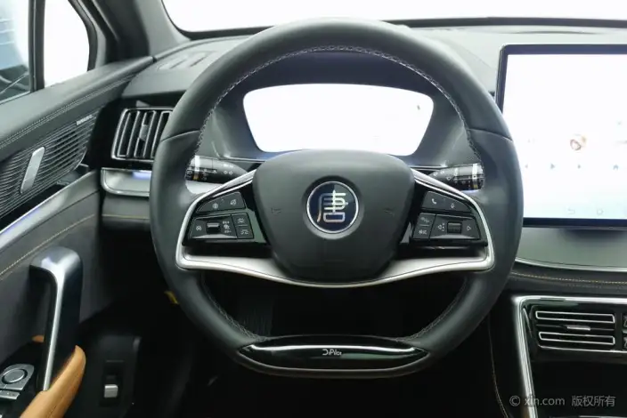 BYD Tang DM 2023 Model DM-i Champion Edition 112KM Exclusive Model – фото 14
