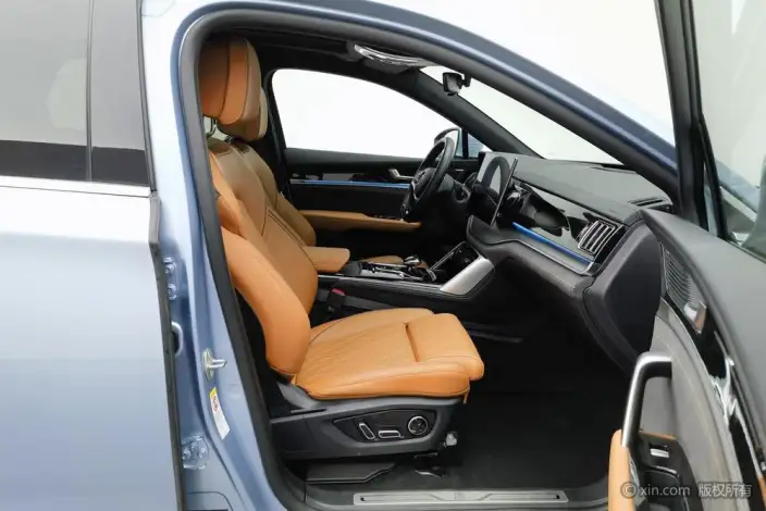 BYD Tang DM 2023 Model DM-i Champion Edition 112KM Exclusive Model – фото 24
