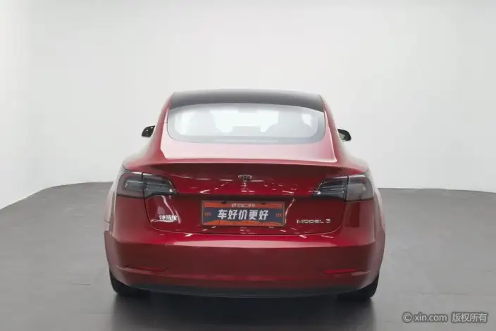 Model 3 2020 Model Standard Battery Life Rear Drive L Class Edition – фото 3