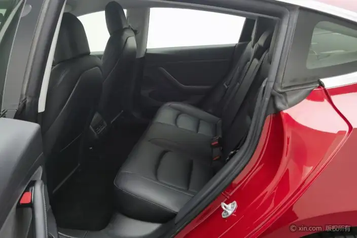 Model 3 2020 Model Standard Battery Life Rear Drive L Class Edition – фото 18