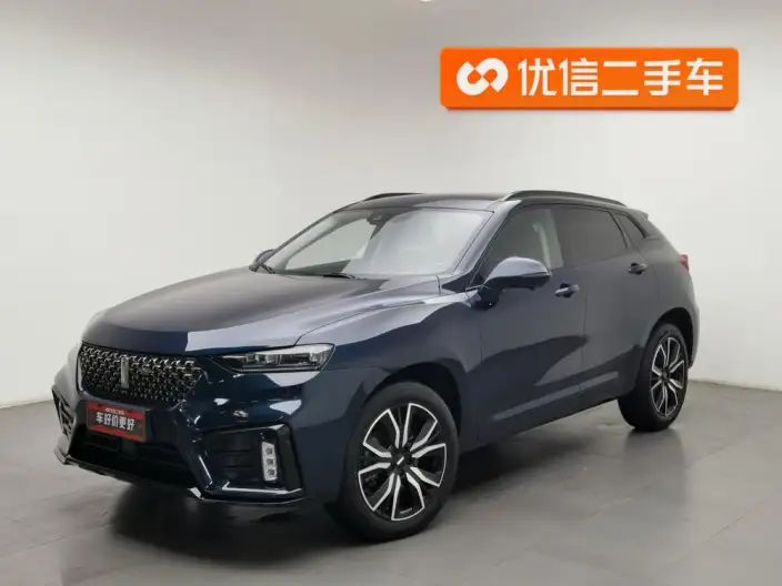 WEY VV7 2021 Model 2.0T Technology Edition – фото 1