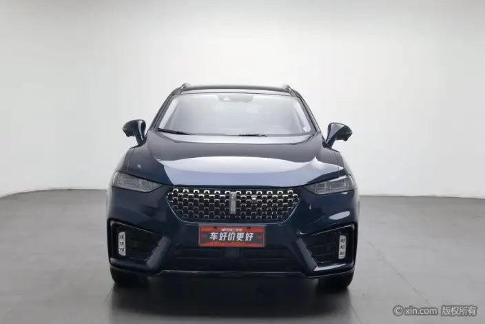 WEY VV7 2021 Model 2.0T Technology Edition – фото 2