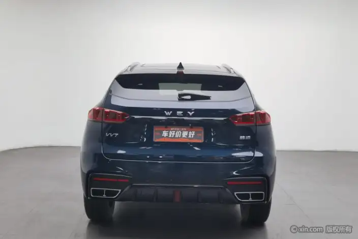 WEY VV7 2021 Model 2.0T Technology Edition – фото 3