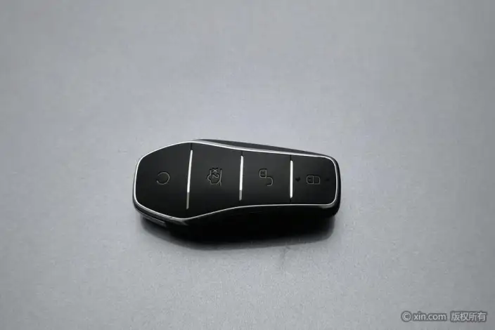 BYD Song PLUS DM 2025 Model DM-i 112KM Noble Model – фото 6