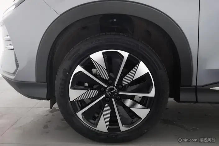 BYD Song PLUS DM 2025 Model DM-i 112KM Noble Model – фото 9