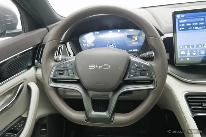 BYD Song PLUS DM 2025 Model DM-i 112KM Noble Model – фото 14