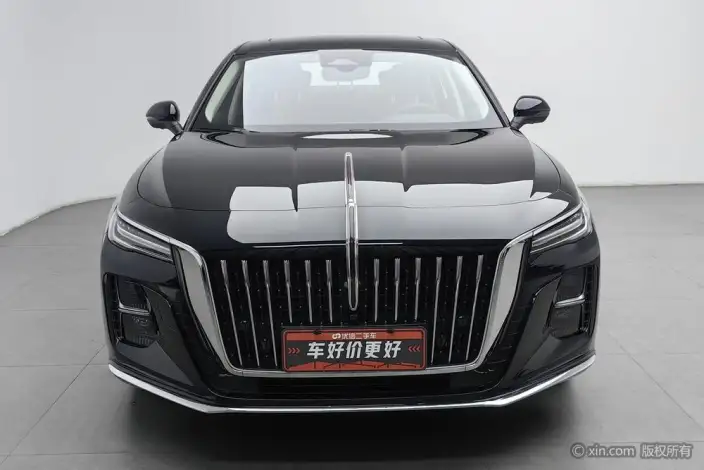 Hongqi H5 2025 Model 2.0T Automatic Flag Enjoy Edition – фото 2