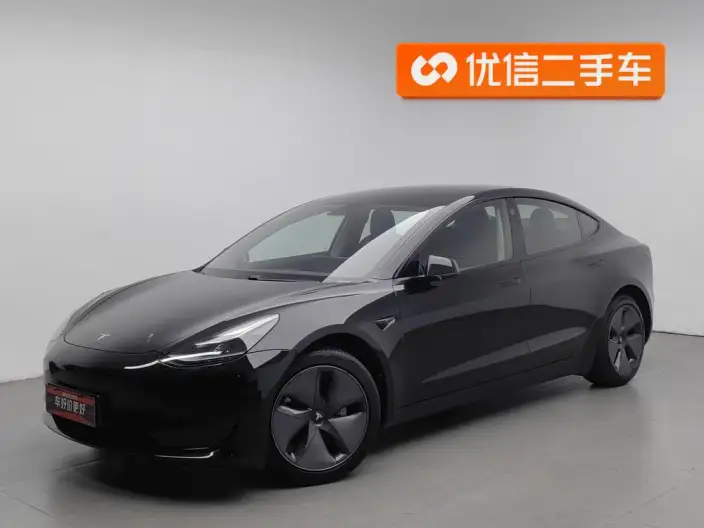 Model 3 2021 Model Standard Battery Life Rear Drive L Class Edition – фото 1