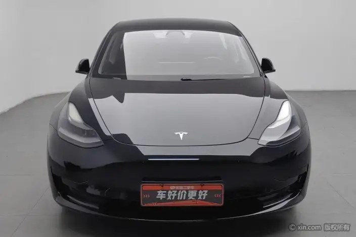 Model 3 2021 Model Standard Battery Life Rear Drive L Class Edition – фото 2