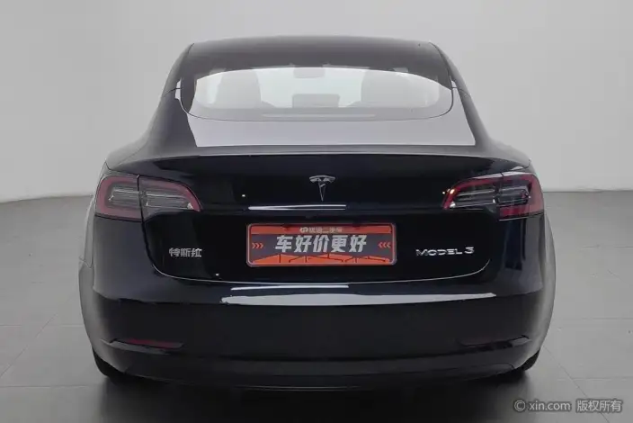 Model 3 2021 Model Standard Battery Life Rear Drive L Class Edition – фото 3