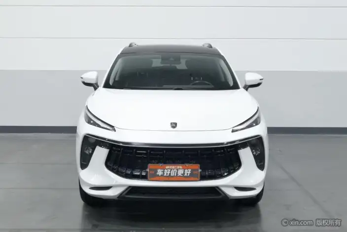 Fengxing T5 EVO 2021 Model 1.5TD DCT Diamond Edition – фото 2