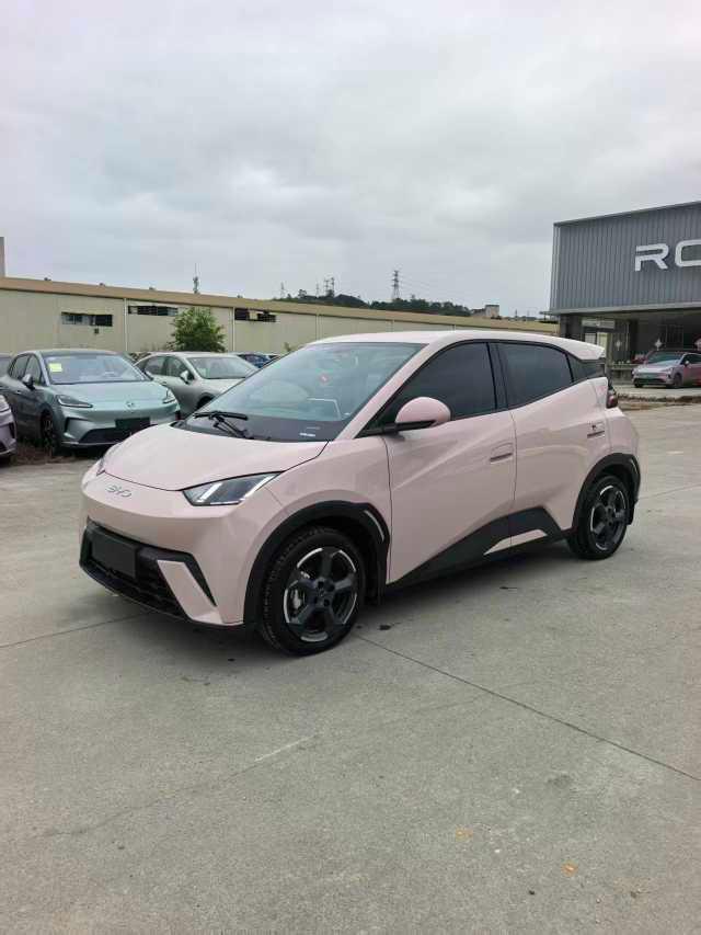 BYD Seagull 2024 Glory 305km Active – фото 1