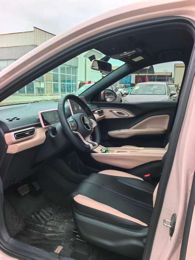 BYD Seagull 2024 Glory 305km Active – фото 4