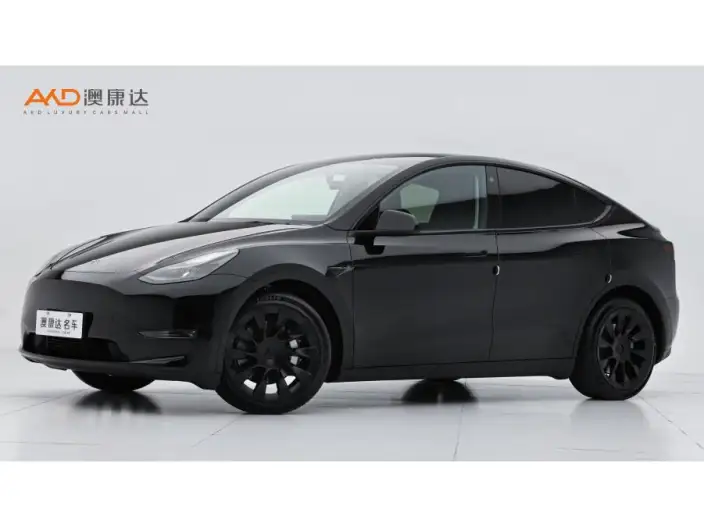 Model Y 2021 Model Standard Battery Life Rear-wheel drive version – фото 1