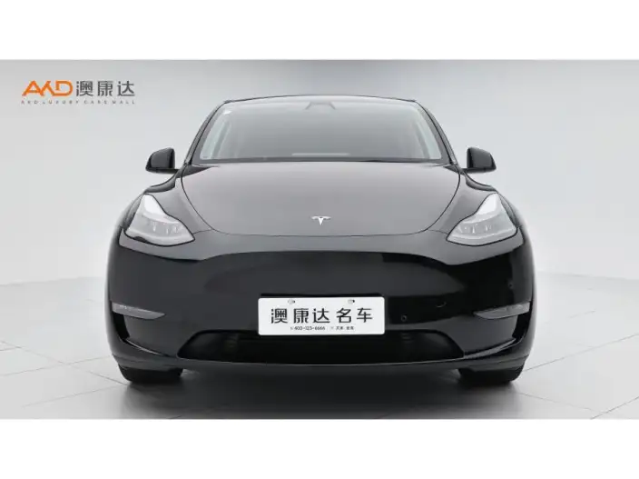 Model Y 2021 Model Standard Battery Life Rear-wheel drive version – фото 2