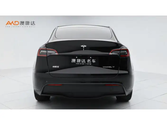 Model Y 2021 Model Standard Battery Life Rear-wheel drive version – фото 3
