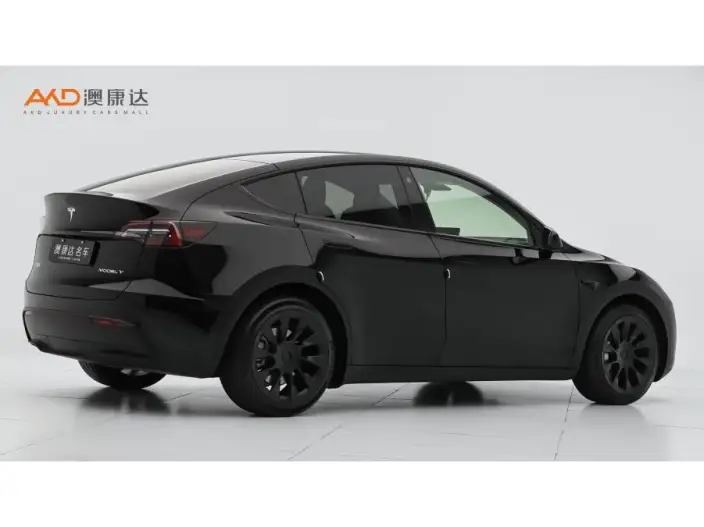Model Y 2021 Model Standard Battery Life Rear-wheel drive version – фото 4