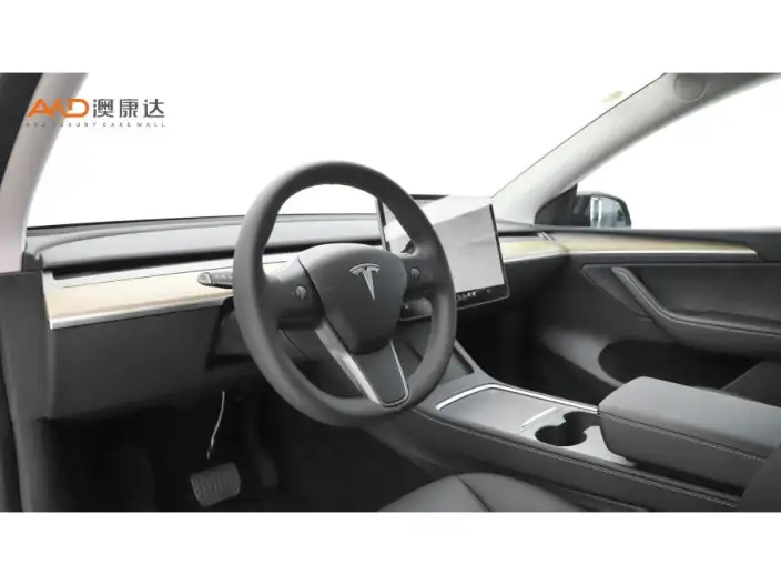 Model Y 2021 Model Standard Battery Life Rear-wheel drive version – фото 5