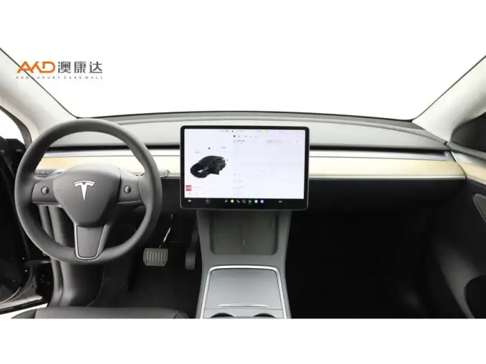 Model Y 2021 Model Standard Battery Life Rear-wheel drive version – фото 6