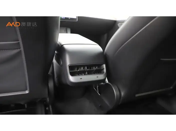 Model Y 2021 Model Standard Battery Life Rear-wheel drive version – фото 7