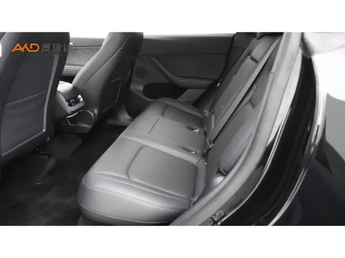 Model Y 2021 Model Standard Battery Life Rear-wheel drive version – фото 8