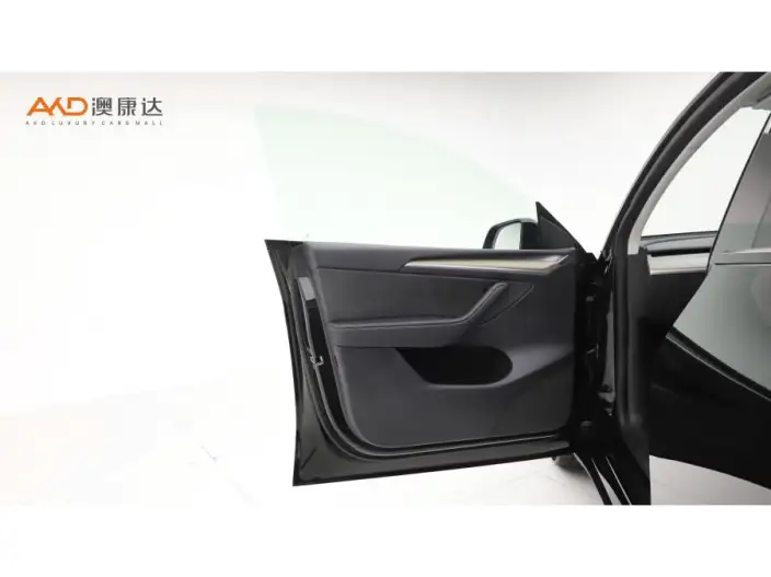 Model Y 2021 Model Standard Battery Life Rear-wheel drive version – фото 9