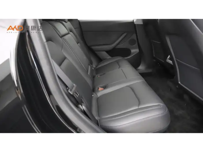 Model Y 2021 Model Standard Battery Life Rear-wheel drive version – фото 10