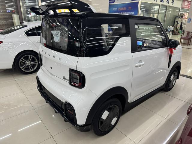 Geely Panda 2025 210km Panda Karting – фото 8