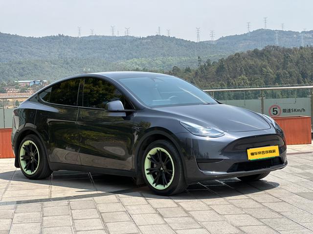 Tesla Model Y 2024 RWD – фото 3