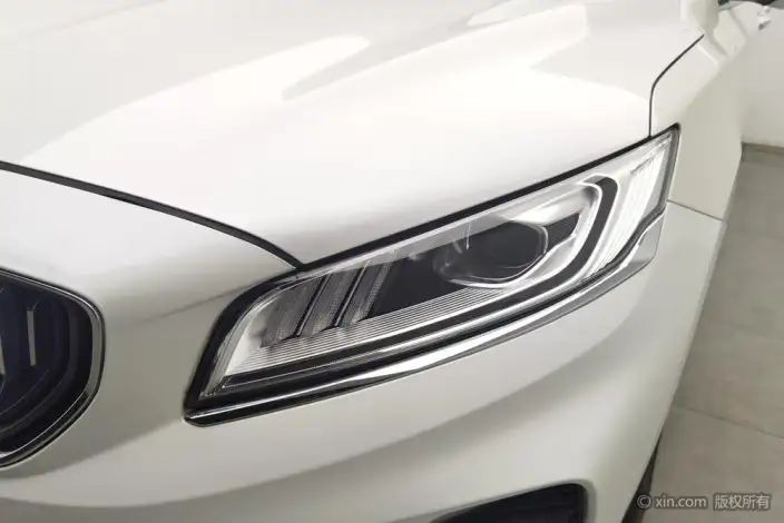 Geely Borui 2021 Model 1.8T Pilot Edition + – фото 7