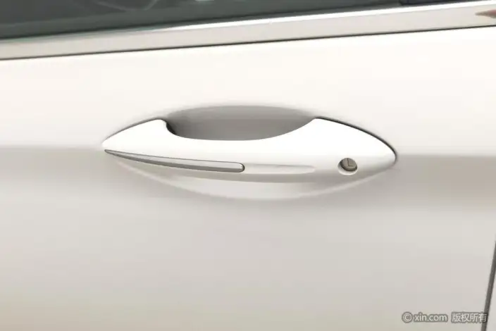 Geely Borui 2021 Model 1.8T Pilot Edition + – фото 8